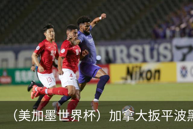 （美加墨世界杯）加拿大扳平波黑 获队史世界杯首分